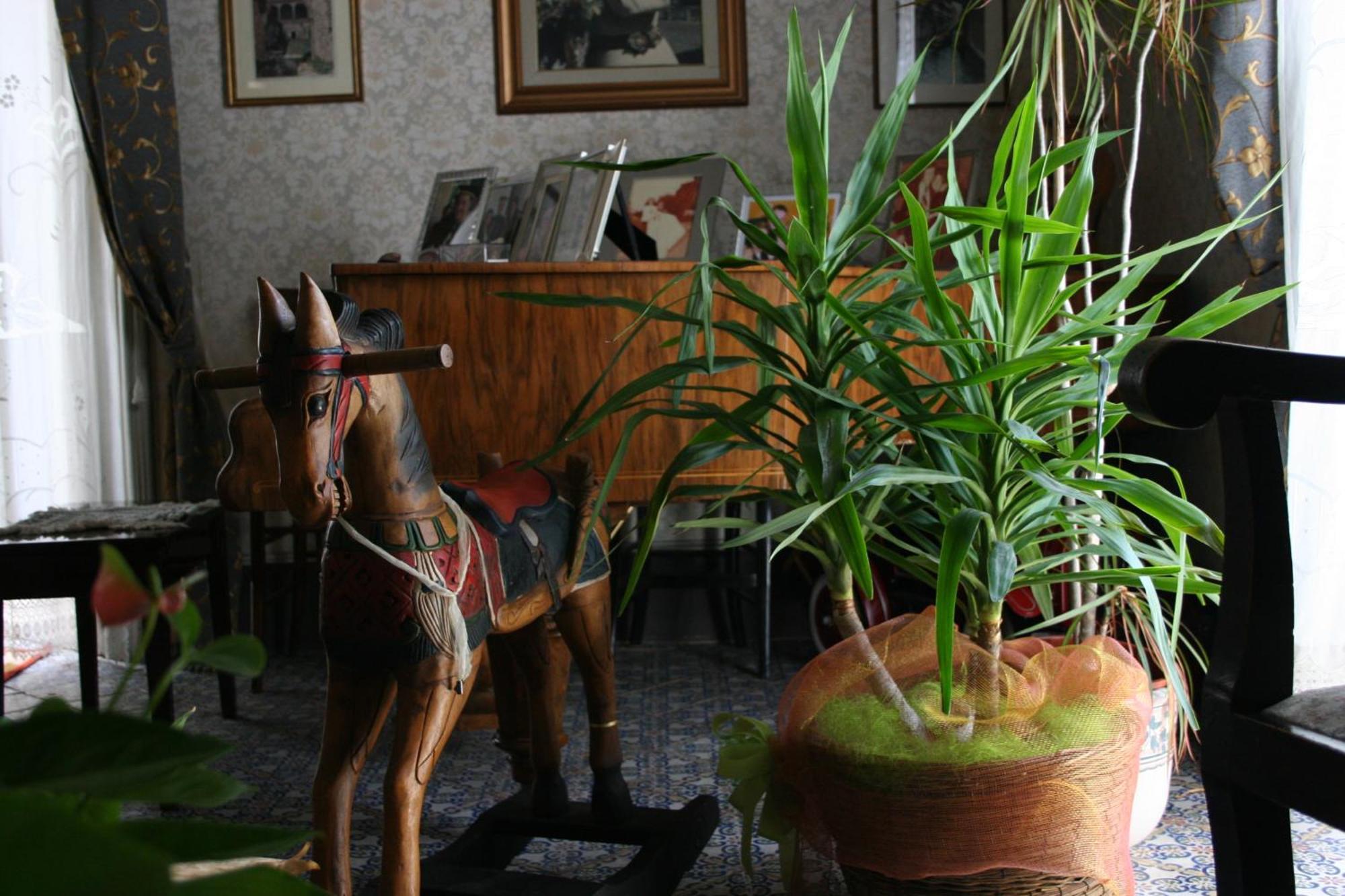 موديكا Palazzo Il Cavaliere B&B De Charme المظهر الخارجي الصورة